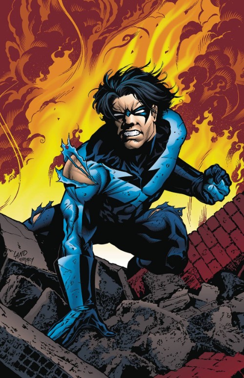 NIGHTWINGVOL 06: TO SERVE AND PROTECT