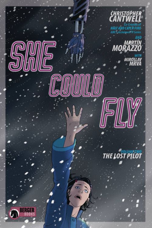 SHE COULD FLYVOL 02: THE LOST PILOT