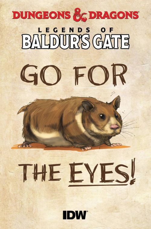 DUNGEONS AND DRAGONS: BALDUR'S GATE 100-PAGER