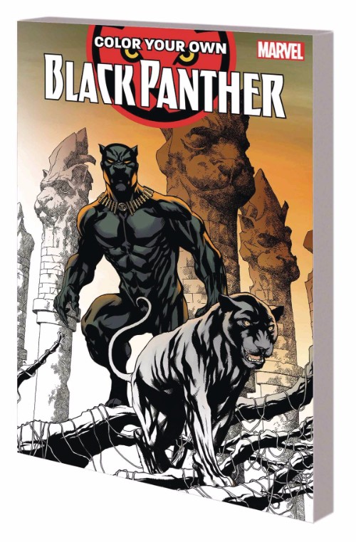 COLOR YOUR OWN BLACK PANTHER